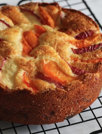 Gâteau doré avec abricots et nectarines, texture moelleuse du dessert abricot mascarpone