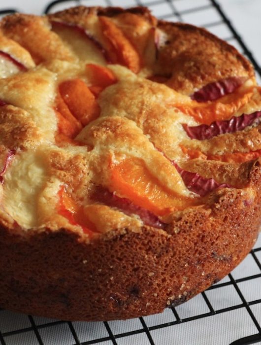 Gâteau doré avec abricots et nectarines, texture moelleuse du dessert abricot mascarpone
